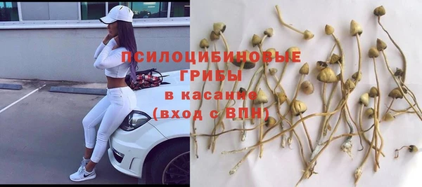 прущая мука Белокуриха