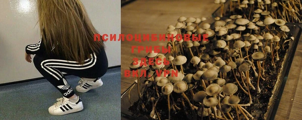 прущая мука Белокуриха