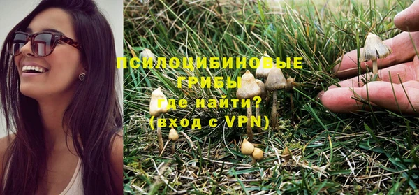 твердый Белоозёрский