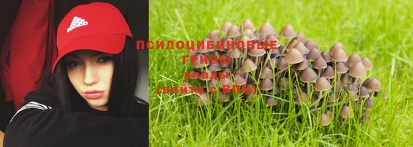 твердый Белоозёрский
